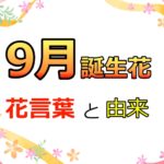9月の誕生花と花言葉一覧!名前をカレンダー式にして分かりやすくしました!