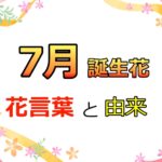 7月の誕生花と花言葉一覧!名前をカレンダー式にして分かりやすくしました!