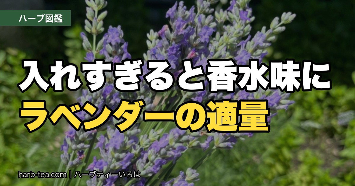 ラベンダーの効能と使い方｜ハーブティーは少量が正解・香りと淹れ方