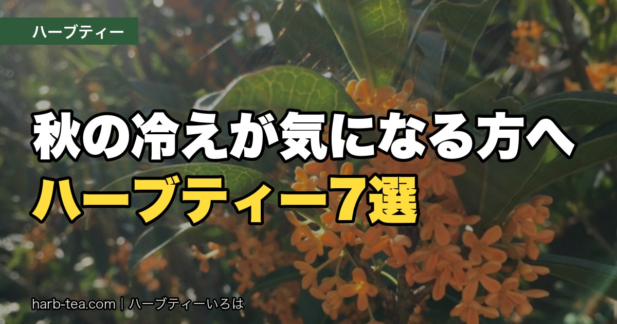 秋の冷えにおすすめのハーブティー7選｜温め方のコツも