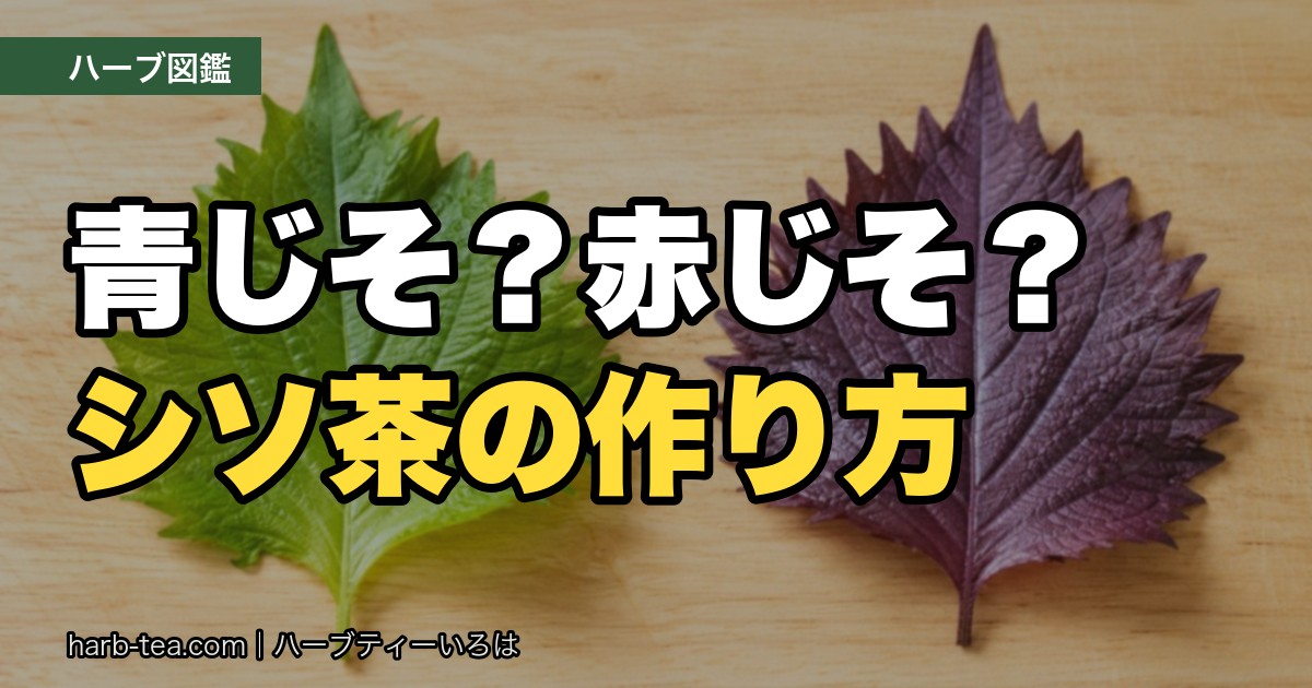 シソ茶の作り方｜青じそと赤じそ、お茶にするならどっち？