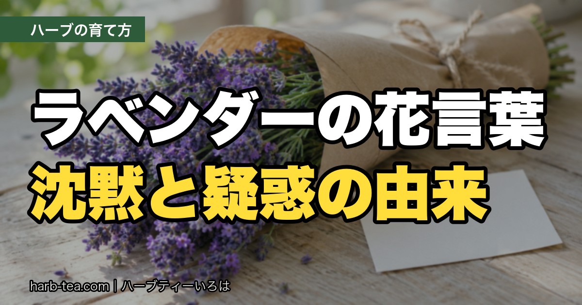 ラベンダーの花言葉は「沈黙」と「疑惑」？怖いと言われる理由と、名前の由来
