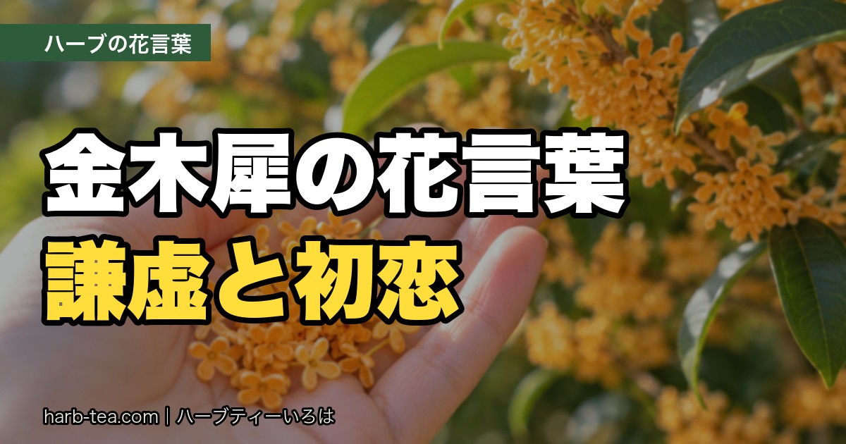 金木犀の花言葉は「謙虚」「初恋」｜怖いと言われる理由と、銀木犀との違い