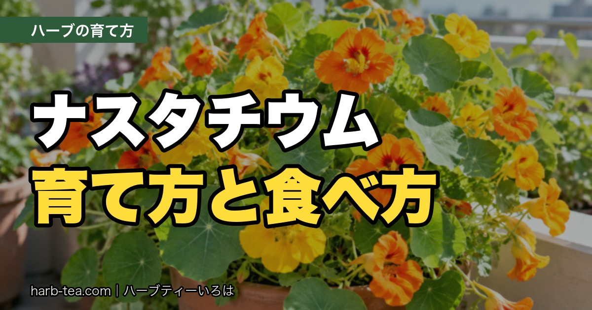 ナスタチウムの育て方と食べ方｜花も葉もピリッと辛いハーブ。肥料は控えめ、真夏は半日陰へ