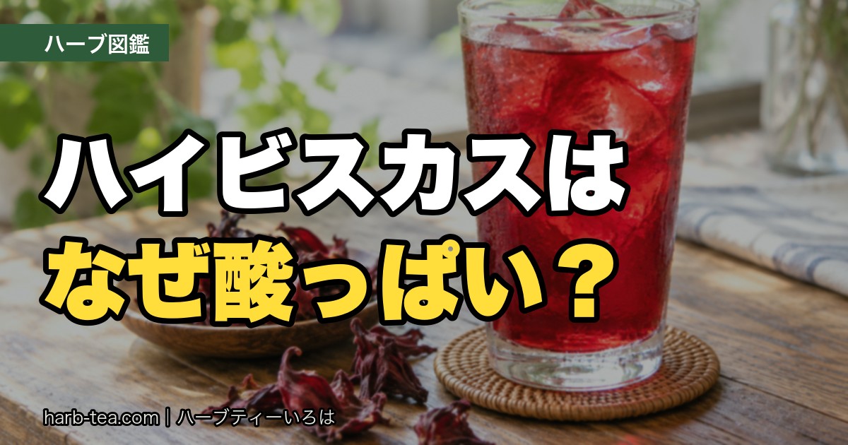 ハイビスカスティー