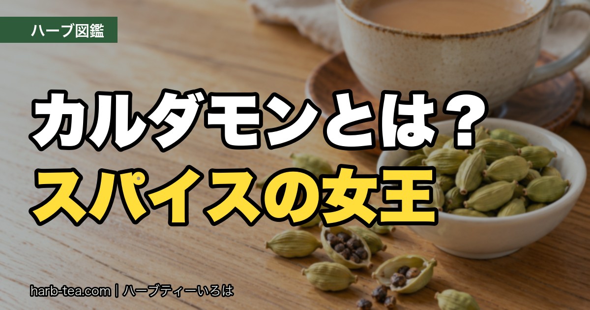 カルダモンとは？スパイスの女王