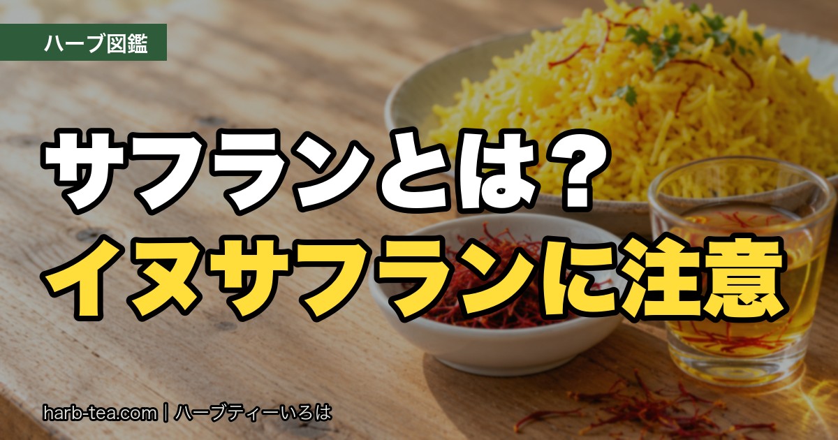 サフランとは？イヌサフランに注意
