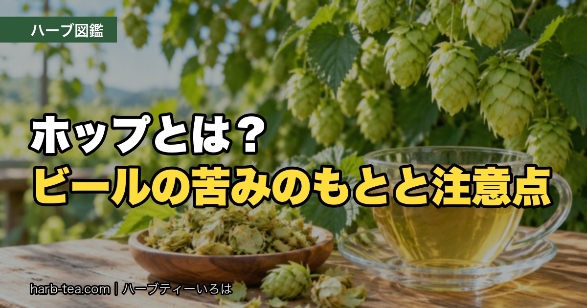 ホップの毬花とホップのハーブティー