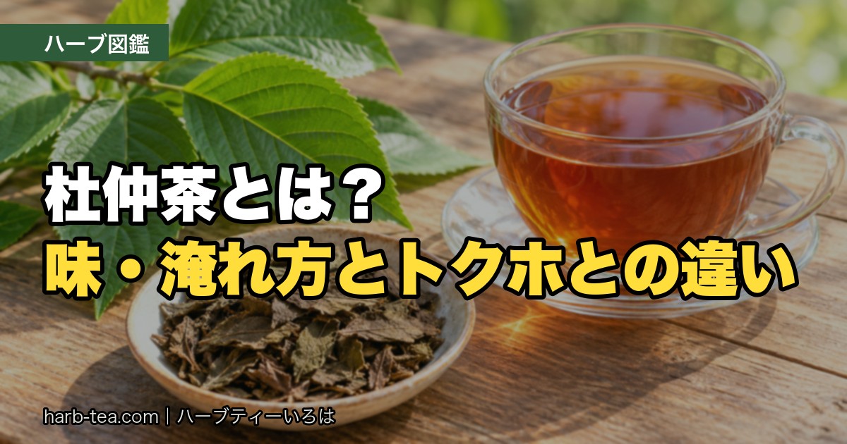 杜仲茶の茶葉とトチュウの葉、杜仲茶
