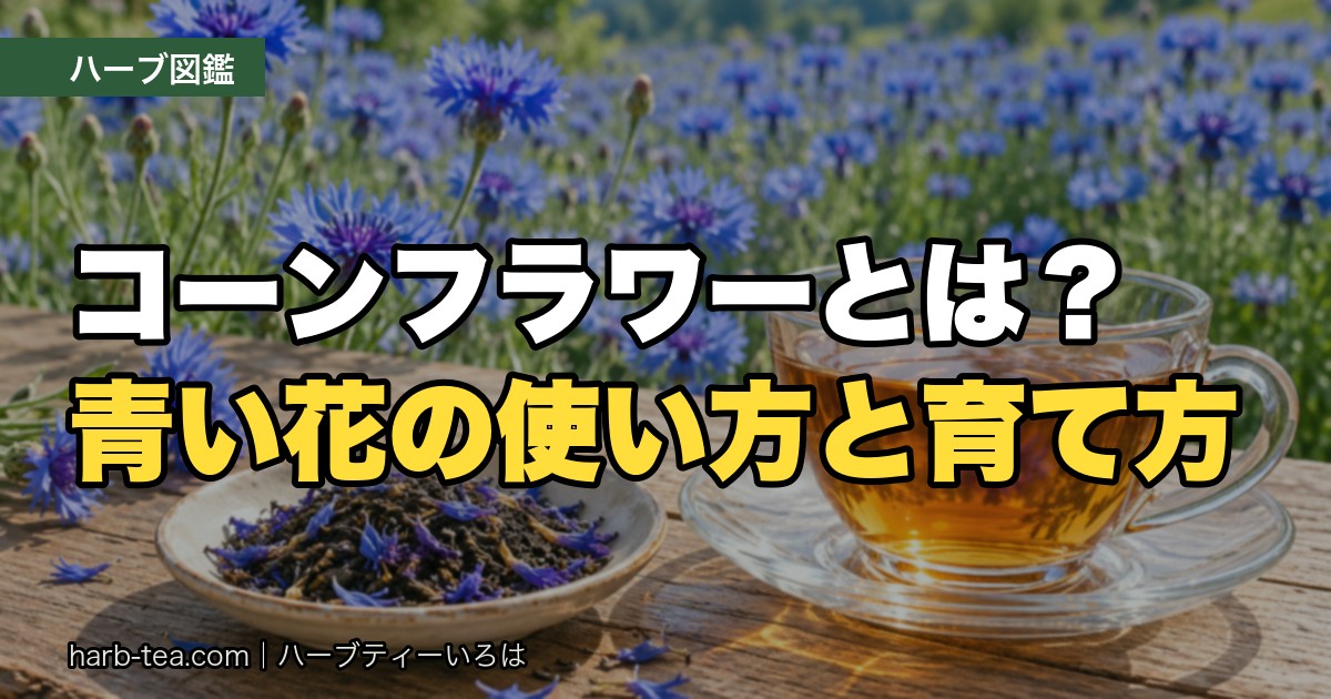 青いコーンフラワー（ヤグルマギク）の花と、花びら入りの紅茶