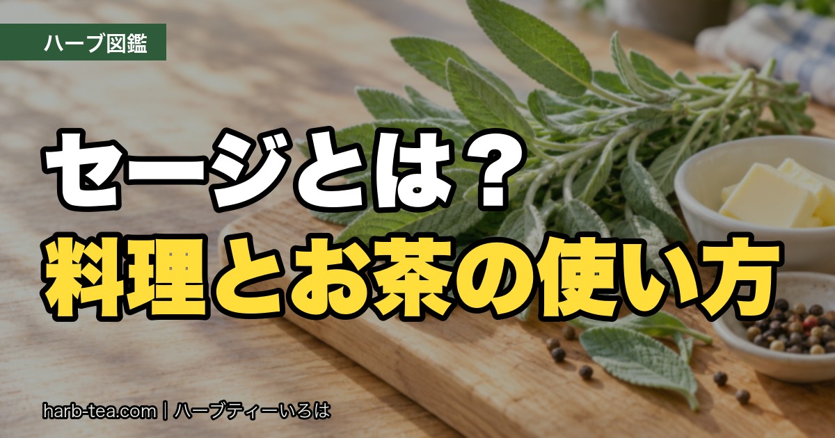 セージとは？料理とお茶の使い方