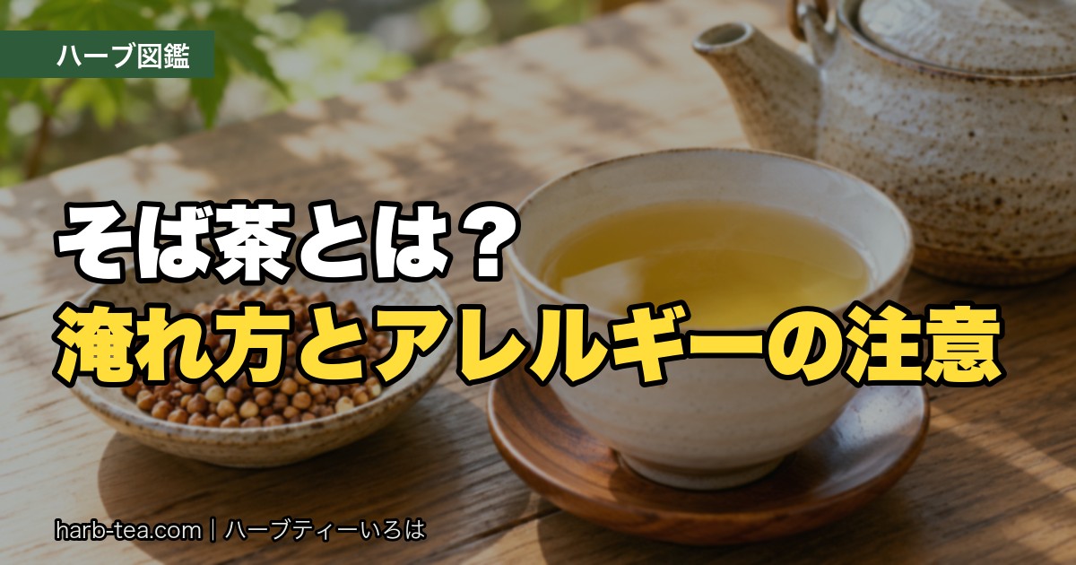 煎ったそばの実と、湯のみのそば茶と急須