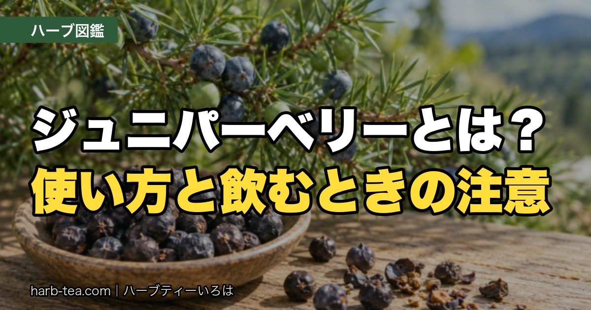 セイヨウネズの枝とジュニパーベリーの実