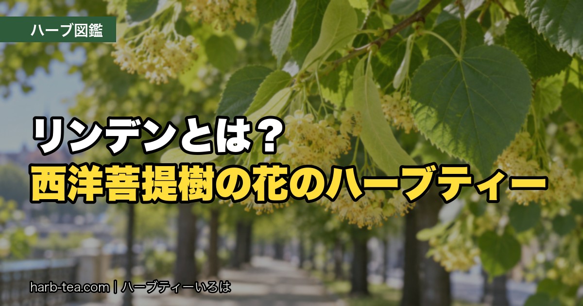 リンデンとは？西洋菩提樹の花のハーブティー
